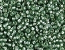 Image Seed Beads Miyuki Seed size 15 moss green (dyed) silver lined semi frost